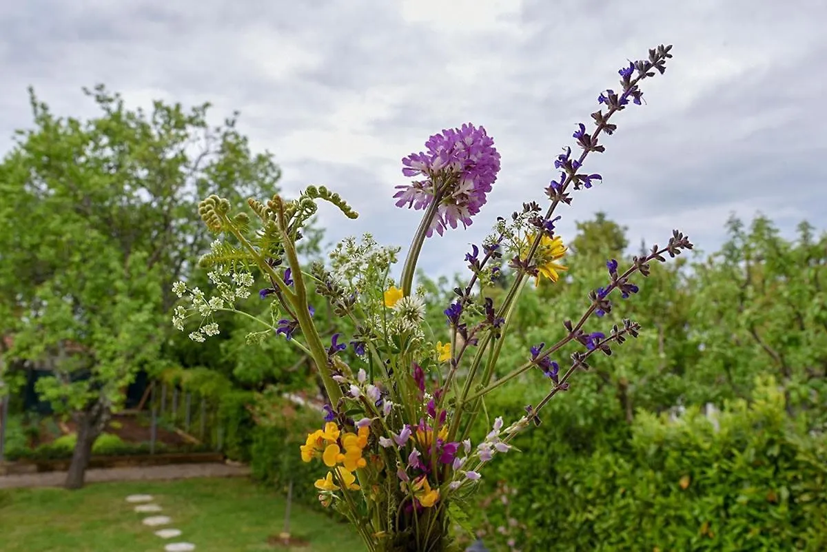 Apartment Villa Brneti & Medicinal Botanical Garden Pazin Croatia