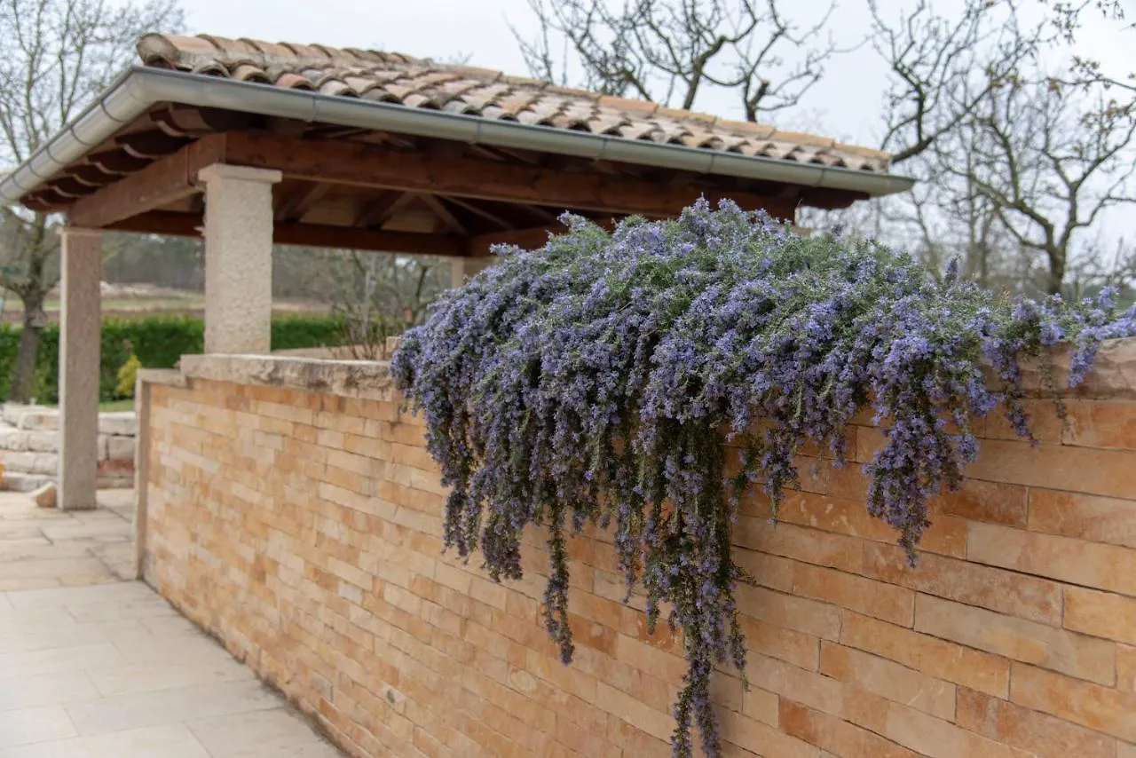 Apartment Villa Brneti & Medicinal Botanical Garden Pazin Croatia