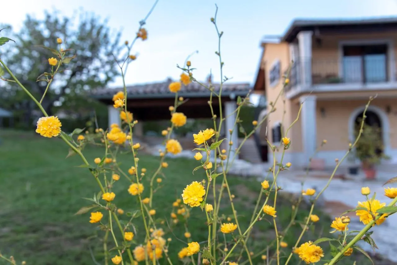 Apartment Villa Brneti & Medicinal Botanical Garden Pazin 0*,  Croatia